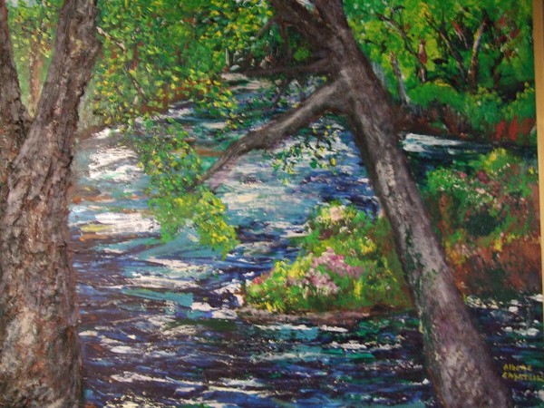 'WEST CANADA CREEK'