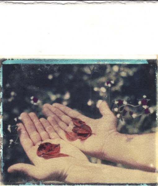 Red Leaves in Calloused Hands