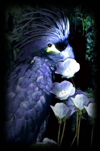 Purple Bird