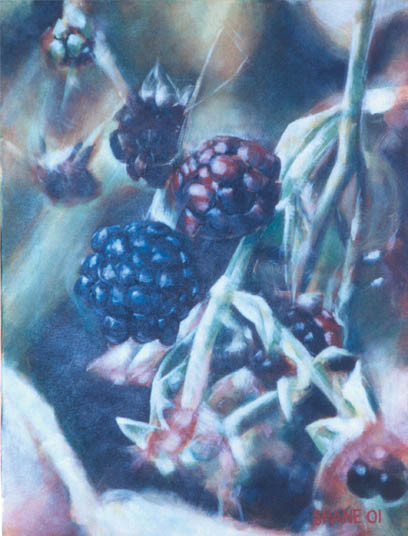 B.C. blackberries 2