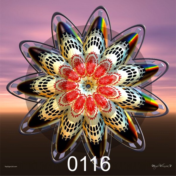 0116 flower