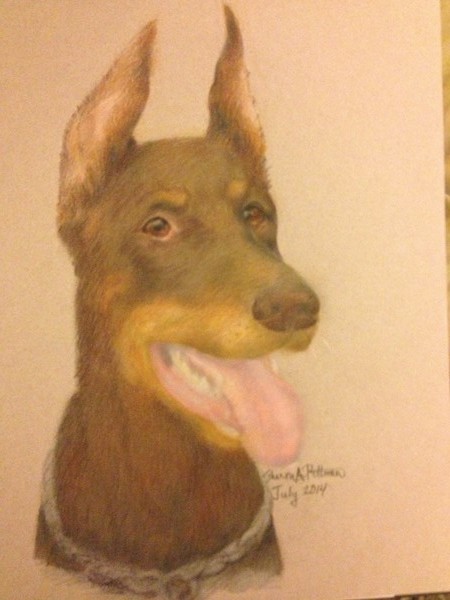 Dobie