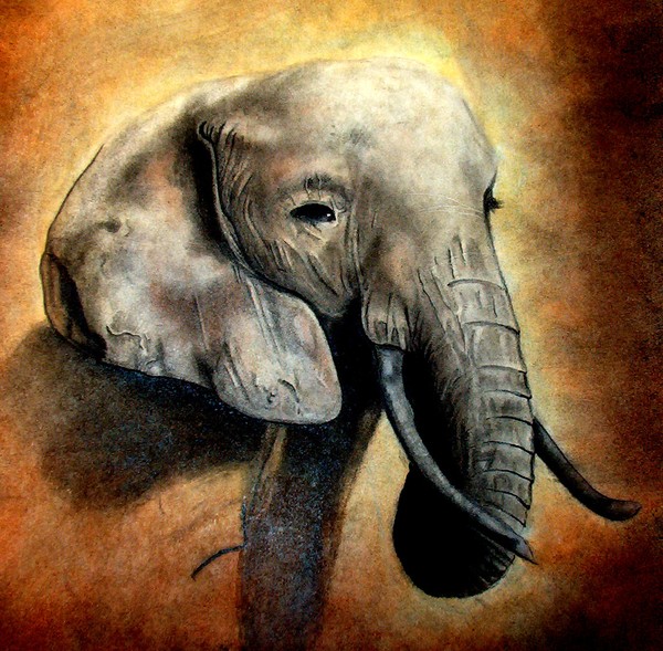 Chalk Elephant