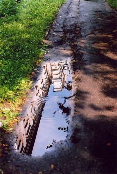 One more puddle photo