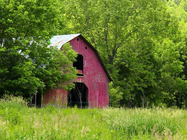 Old Kentucky Barn