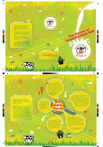 Organic Milk Brochure