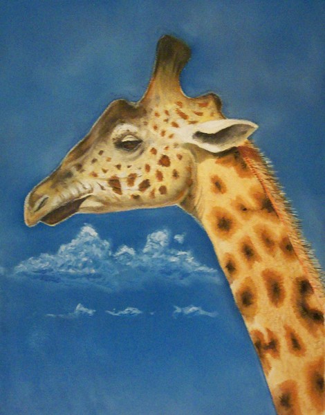 Top View Giraffe