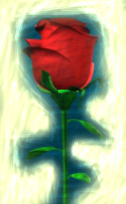 Vivid Rose