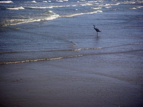 Being One With The Gulf - Watching