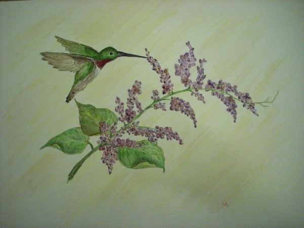 hummingbird and lilacs