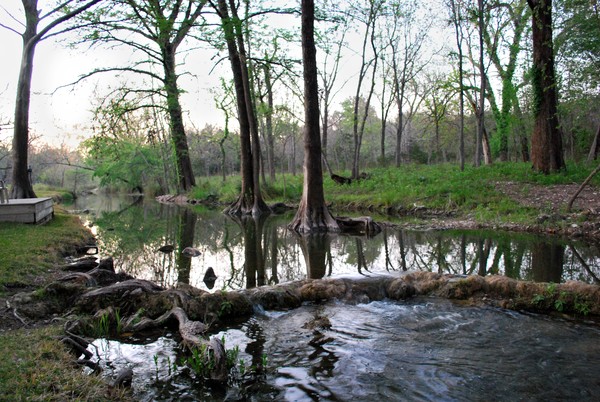 Cypress Creek