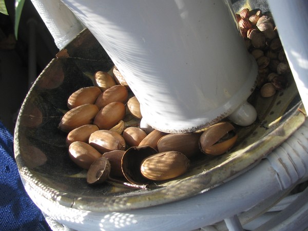 do not go nuts..over the heat:=)