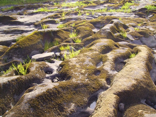 rocks on the Umpqua River, Oregon,2007