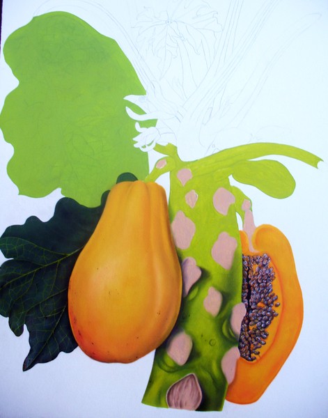 Antique Papaya  Pastel & Watercolor (in progress)