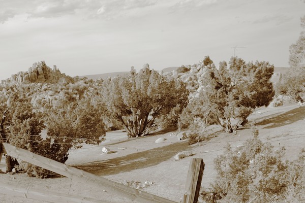 Yucca Valley Image 7