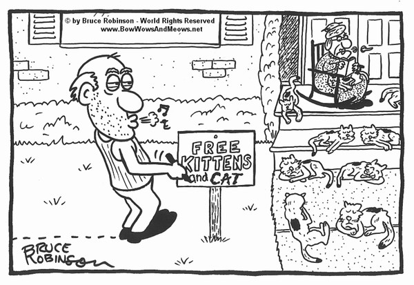 BOW WOWS & MEOWS® CAT Cartoon - FREE Kittens & CAT