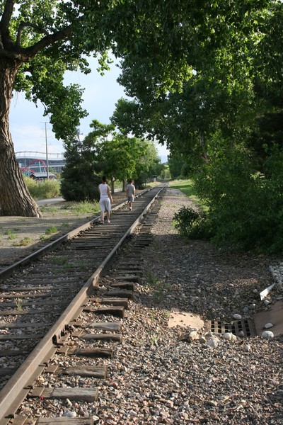 Along the tracks