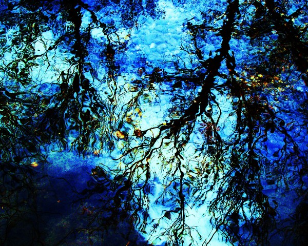 Natural Reflections Aqua 9605 11x14 Print
