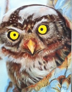 Wise Old Owl-Sold