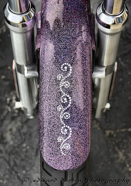 My Pink Sparkly Harley - front fender