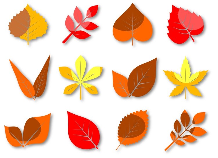 Leaves of different shapes autumn paper art