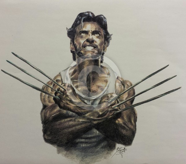 Wolverine  (hugh jackman ) color