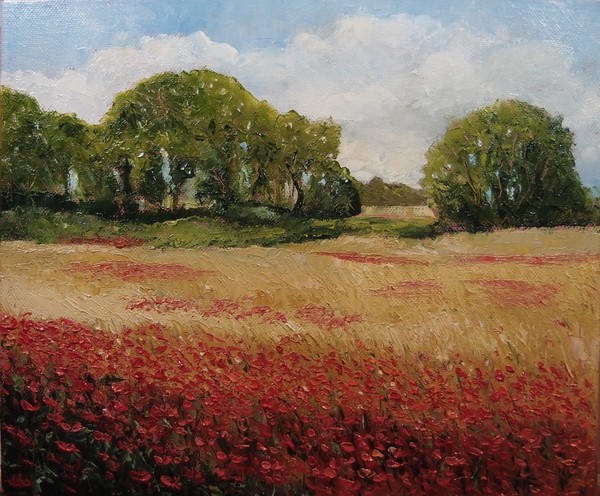 Fields of Red
