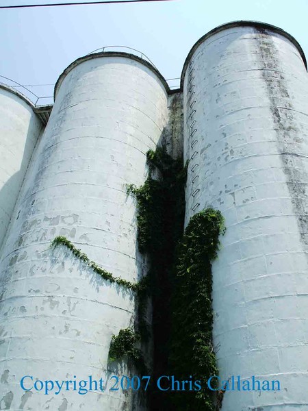 Grain silos