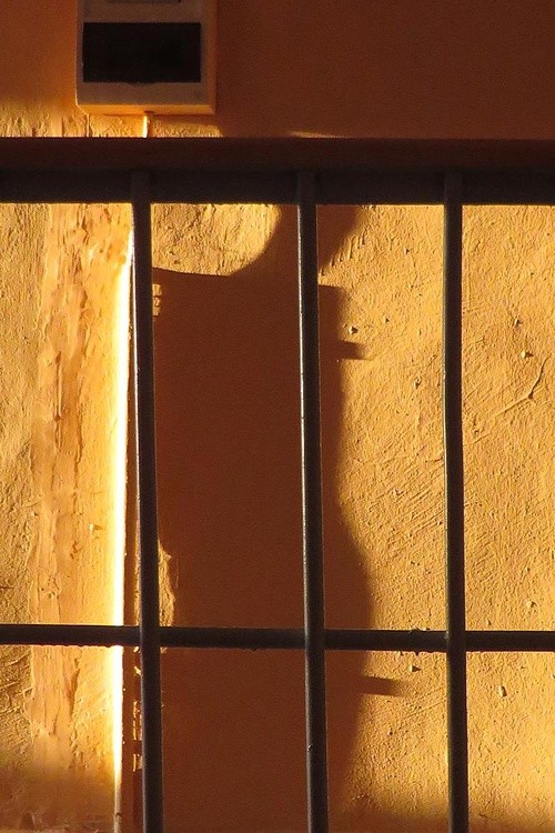 shadow behind bars