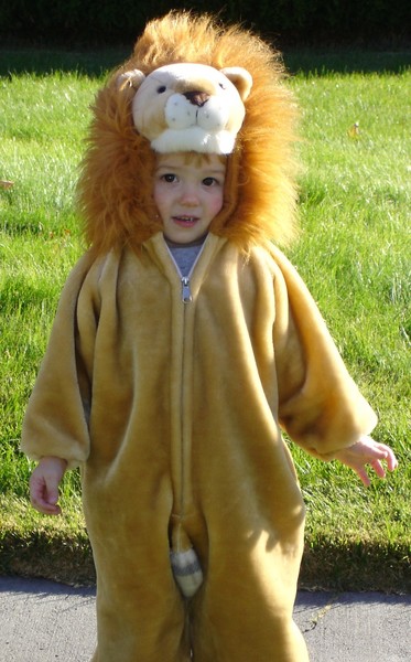 Scotty in lion suit, 2004