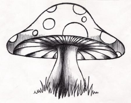 Shroomin