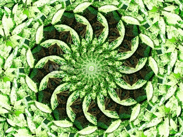 Leafy Green Kaleidoscope Mandala
