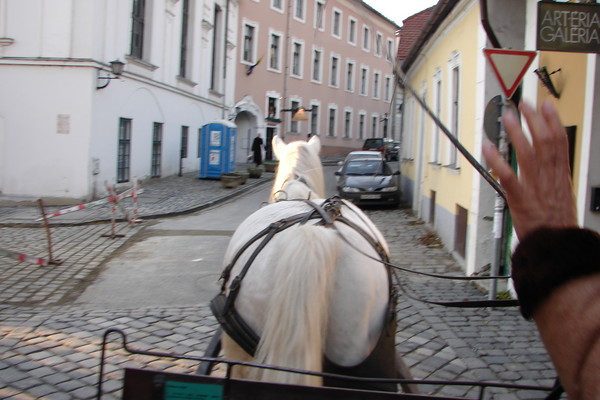 A slow Trot