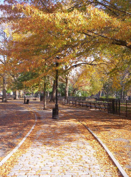Fall at Tompkins Square Park
