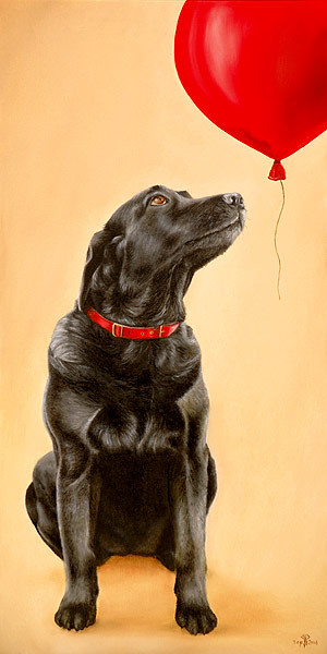 Focus on Red (Black Labrador)