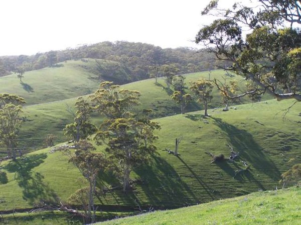 Folded layered landscape