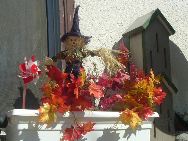 Fall display