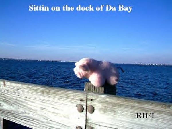 Sitting On Da Dock Of The Bay part 1