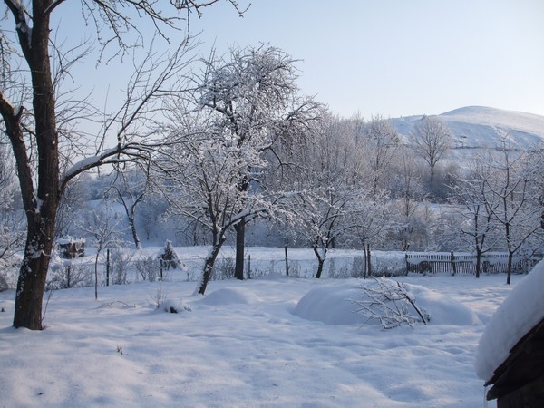 winter at country