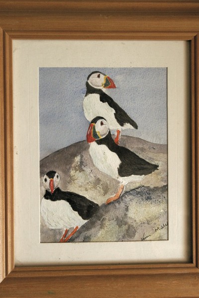 Puffins on the Rock