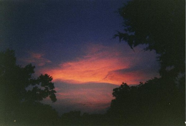 Sunset '05: Mid Year