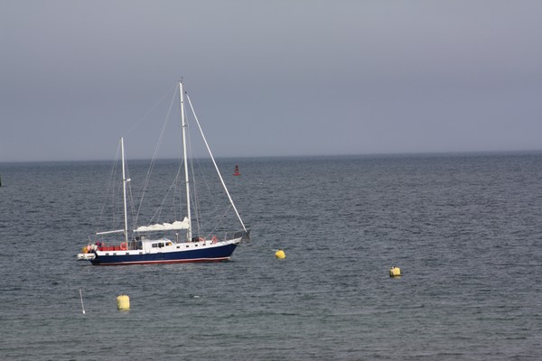 Boat in the water