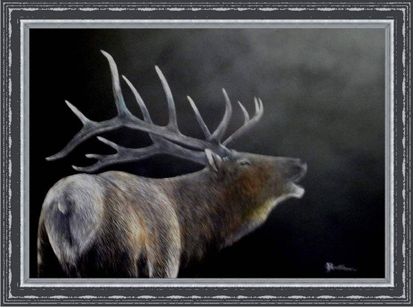 Bugling Elk (Original)