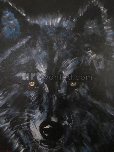 Black Wolf Stare