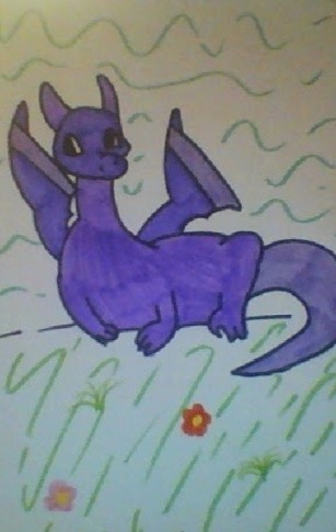 Purple dragon