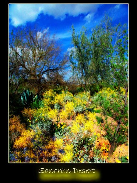 Sonoran Desert Painting