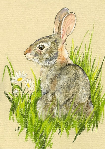 Forest Animal 1 - The Rabbit