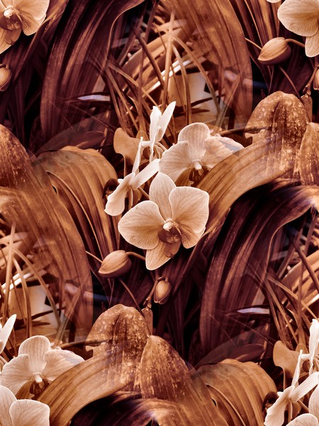 Sepia Toned Orchids (One)