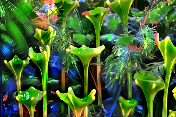 Glass plants in Dale Chihuly's garden