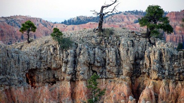 Bryce Canyon, UT